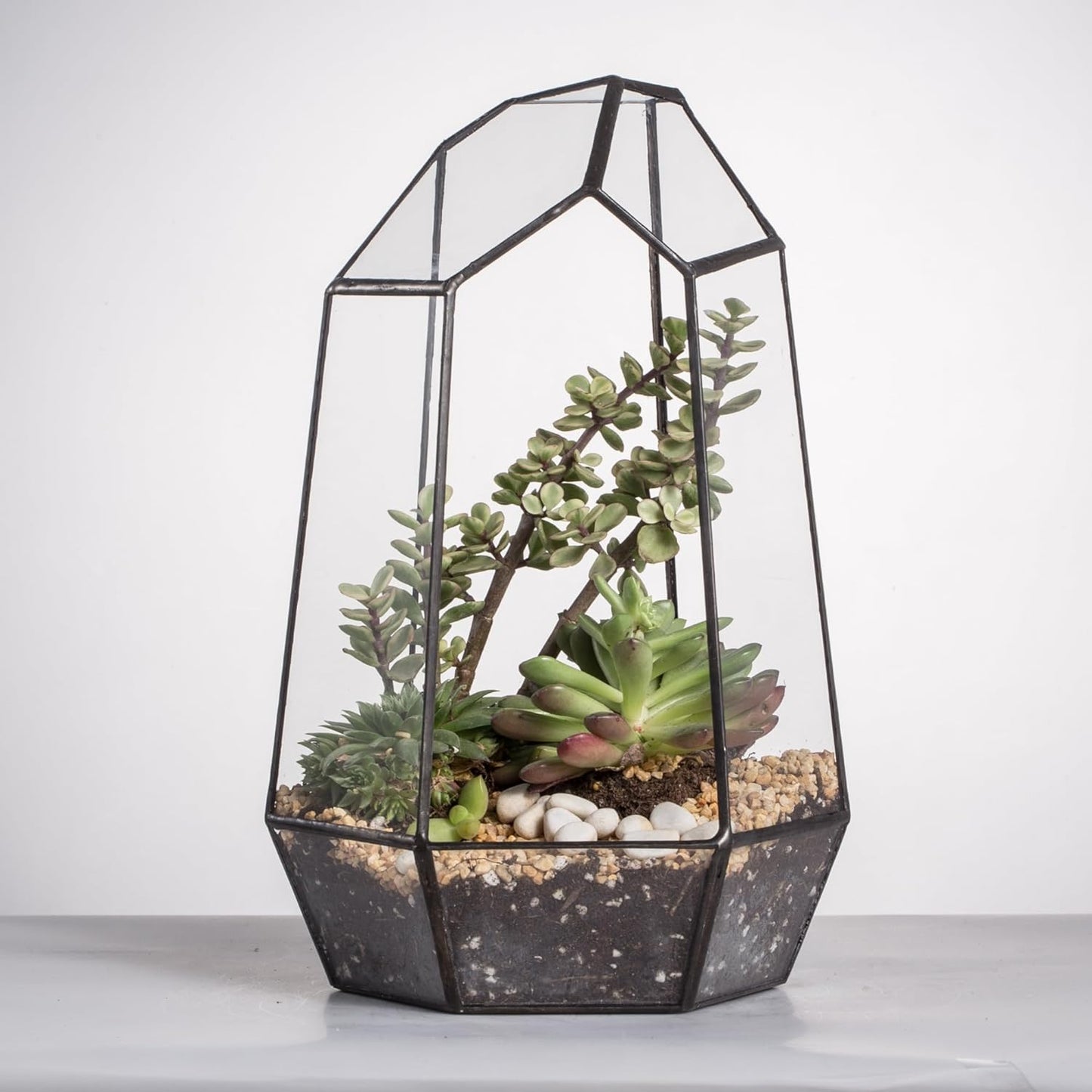 Geometric Glass Terrarium Planter for Succulent, Small Cacti - 6.5" X 5.7" X 9.8" - Tabletop Black Irregular Opened Container Pot for Indoor Home Garden, Office Decor (No Plants, No Door)