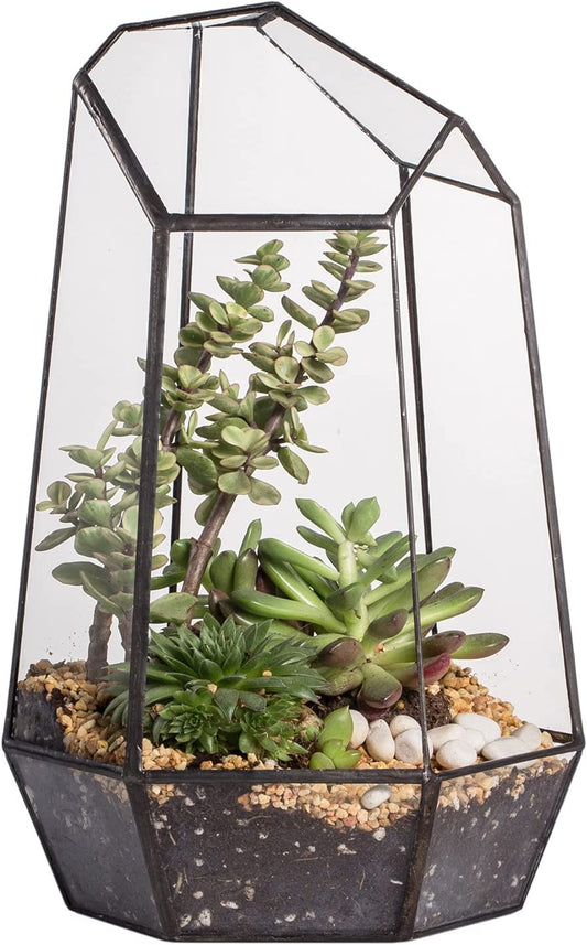 Geometric Glass Terrarium Planter for Succulent, Small Cacti - 6.5" X 5.7" X 9.8" - Tabletop Black Irregular Opened Container Pot for Indoor Home Garden, Office Decor (No Plants, No Door)