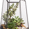 Geometric Glass Terrarium Planter for Succulent, Small Cacti - 6.5" X 5.7" X 9.8" - Tabletop Black Irregular Opened Container Pot for Indoor Home Garden, Office Decor (No Plants, No Door)