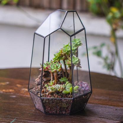 Geometric Glass Terrarium Planter for Succulent, Small Cacti - 6.5" X 5.7" X 9.8" - Tabletop Black Irregular Opened Container Pot for Indoor Home Garden, Office Decor (No Plants, No Door)