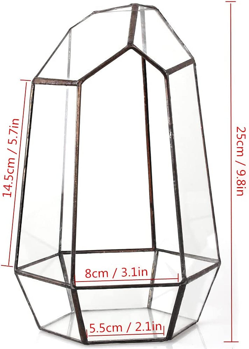 Geometric Glass Terrarium Planter for Succulent, Small Cacti - 6.5" X 5.7" X 9.8" - Tabletop Black Irregular Opened Container Pot for Indoor Home Garden, Office Decor (No Plants, No Door)